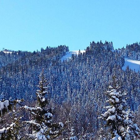 Tes Rila Park Apartments Borovets Exterior photo