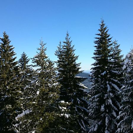 Tes Rila Park Apartments Borovets Exterior photo