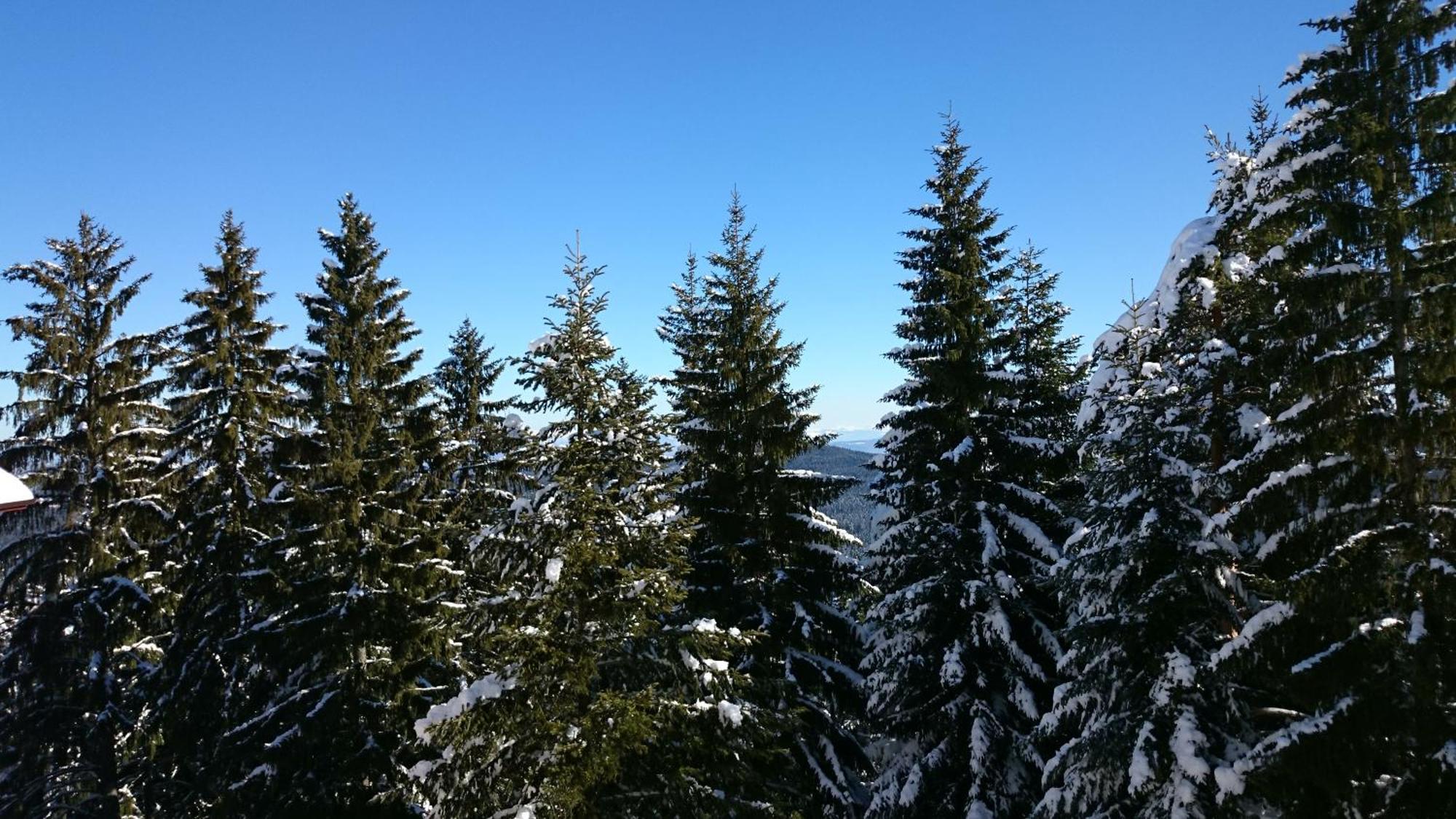 Tes Rila Park Apartments Borovets Exterior photo