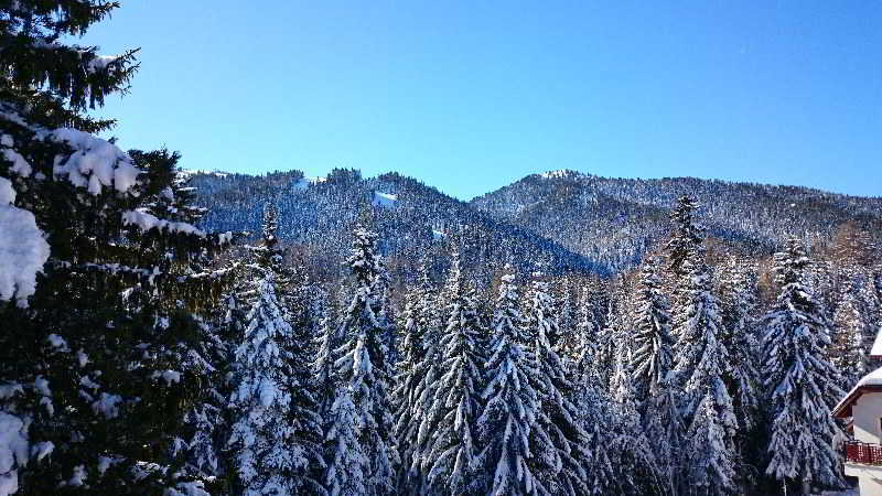 Tes Rila Park Apartments Borovets Exterior photo